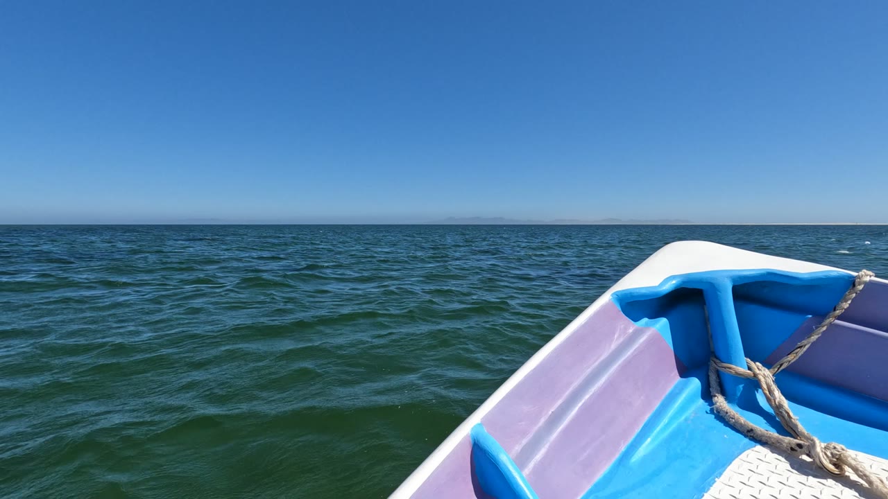 At the start of the Baja California, Mexico clip, the blue and pink boat bow enters from the lower right with a rope across it, open ocean ahead, and no visible people.