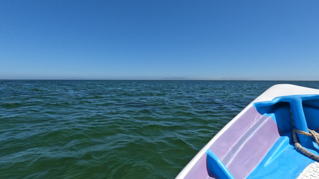 At 0:02, only part of the blue and pink bow remains at the right edge, leaving more open water and clear sky visible in the Baja California, Mexico seascape, with no visible people.