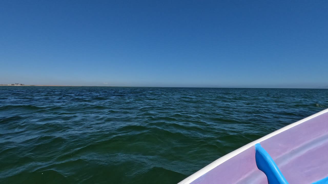 Baja California, Mexico boat view with green-blue ocean, a purple and blue rail in the lower right, clear sky, distant low shoreline, and no visible people.