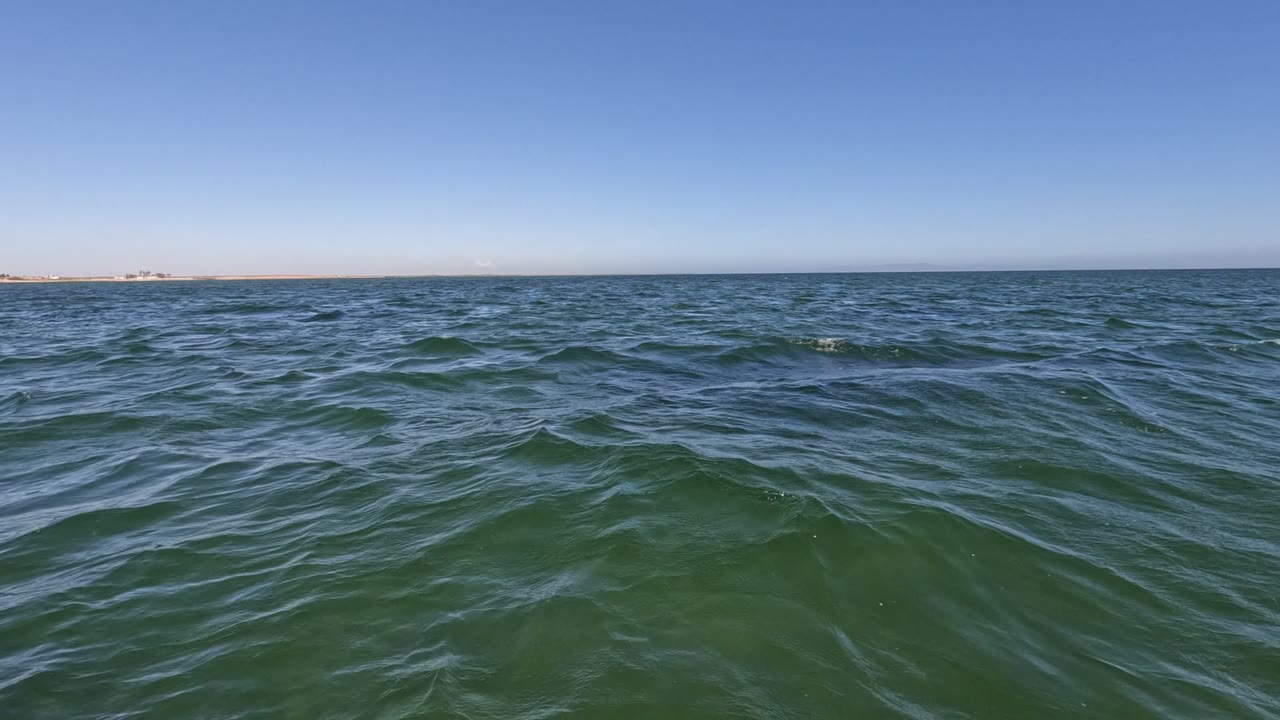 Wide view from a boat on green-blue water off Baja California, Mexico, with a clear sky, distant low shoreline, blue and purple boat edge at right, and no visible people.