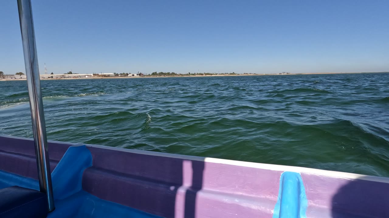 Interior boat angle in Baja California, Mexico, with a white seat back, blue and purple hull panels, canopy hardware overhead, rippled water, distant shore, and no visible people.