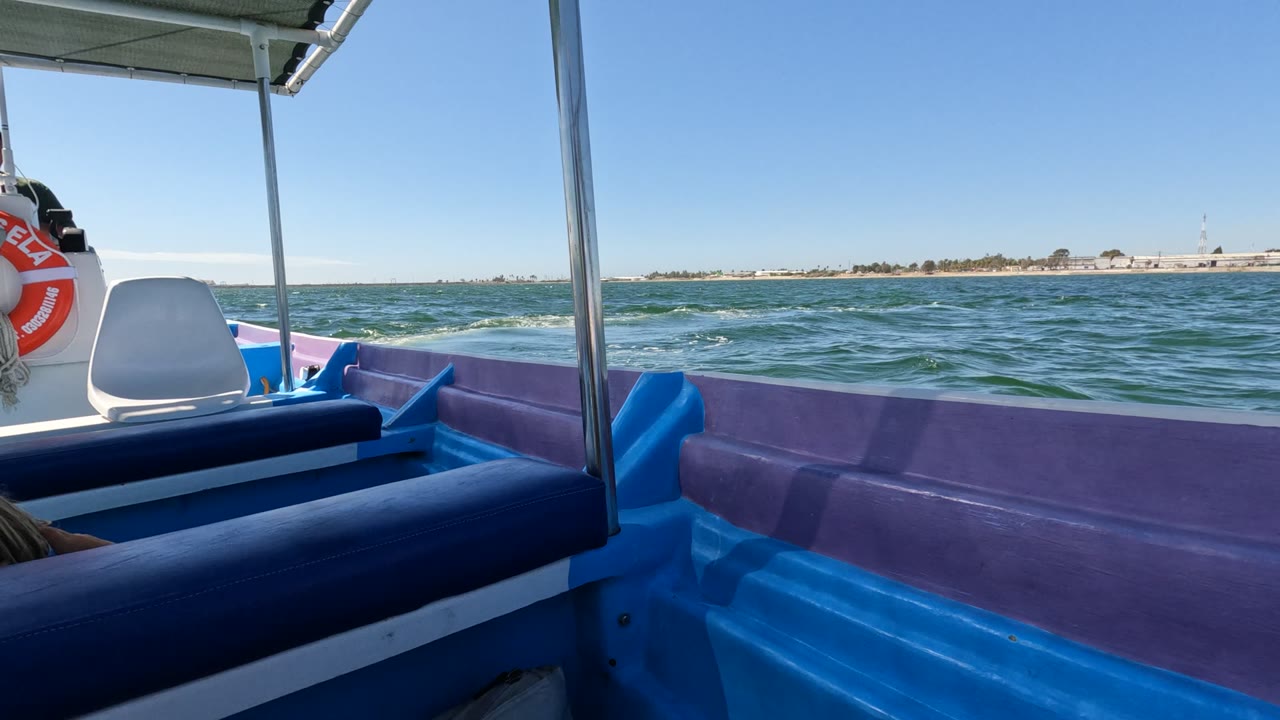 Baja California boat interior at the start of the clip, with blue and purple bench seating in the foreground, ocean water beyond the rail, and a partial passenger head at lower left.
