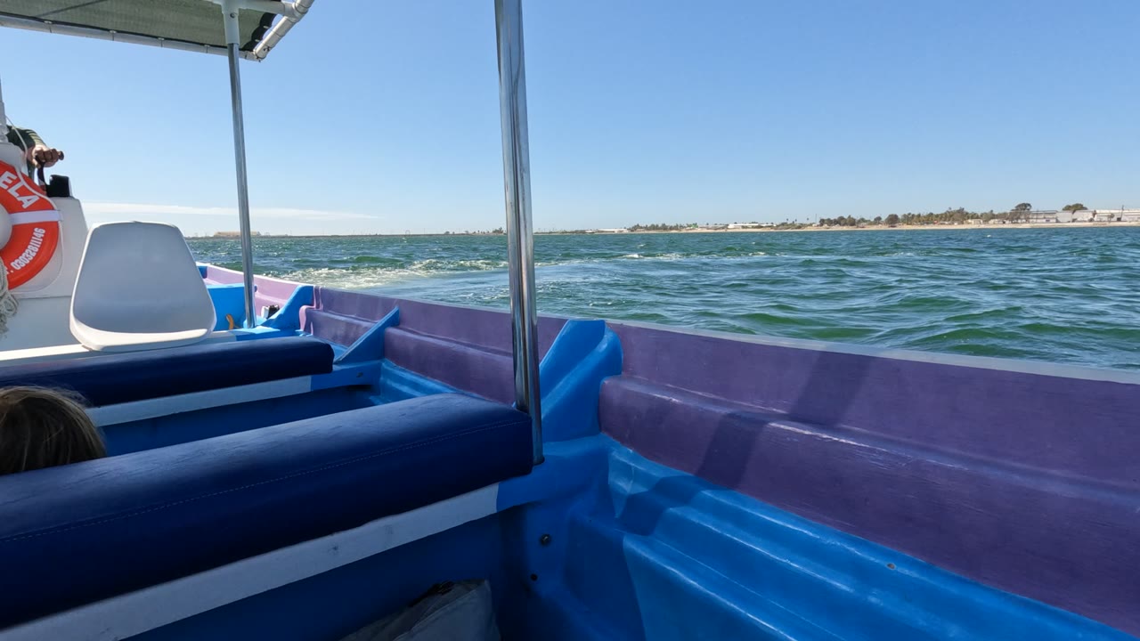 Open water seen from a boat interior with a lifebuoy and white seat near the bow.