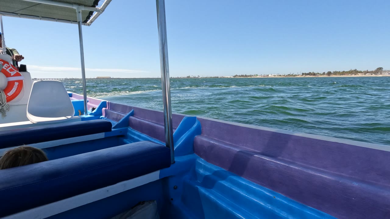 Baja California boat interior with the lifebuoy clipped at the left edge, a vertical support pole near center, rippled ocean water, and a low shoreline under clear sky.