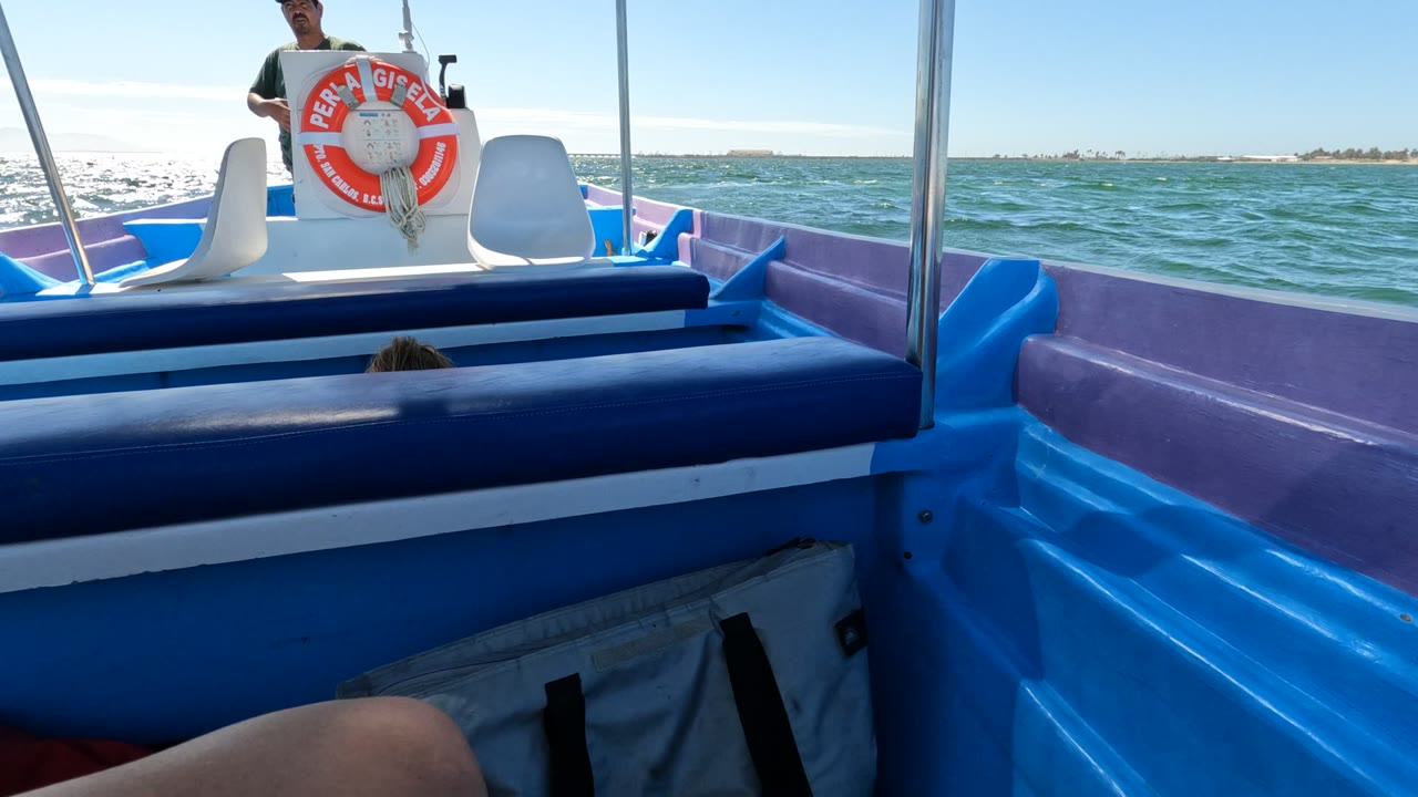 Boat helm area with lifebuoy, white seats, ocean horizon, and foreground bag.