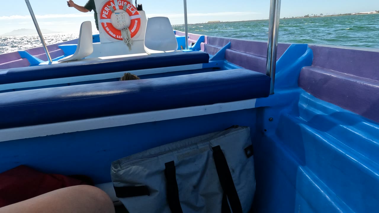A slightly shifted view inside the Baja California boat frames the blue bench, purple side rail, lifebuoy, white seats, and rippled ocean stretching to a low shoreline.