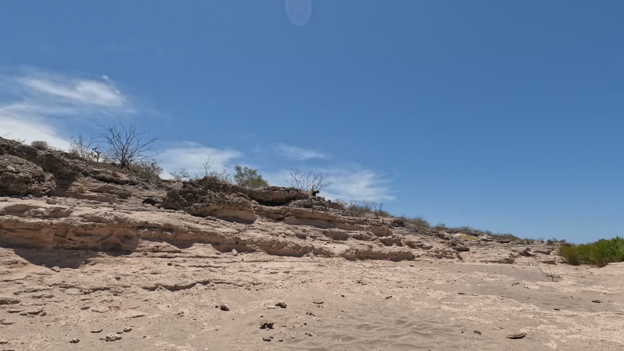 Opening frame of Baja California, Mexico desert terrain with sandy foreground, layered rock outcrop, sparse bushes, bare branches, blue sky, and no visible people.