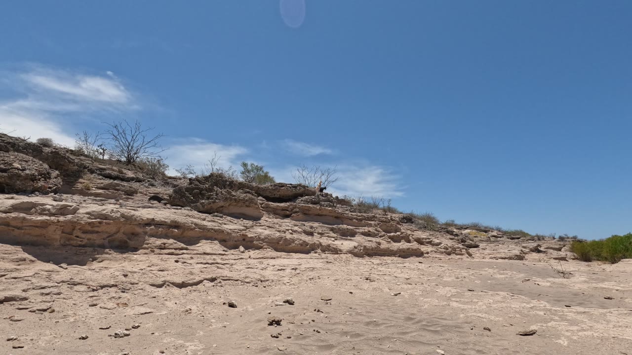 Layered desert rock shelf with dry brush and sandy foreground