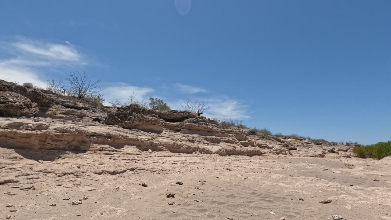 Baja California, Mexico desert view showing a broad sandy wash, tan rock ledges across the middle of frame, sparse green shrubs to the right, blue sky, and no visible people.