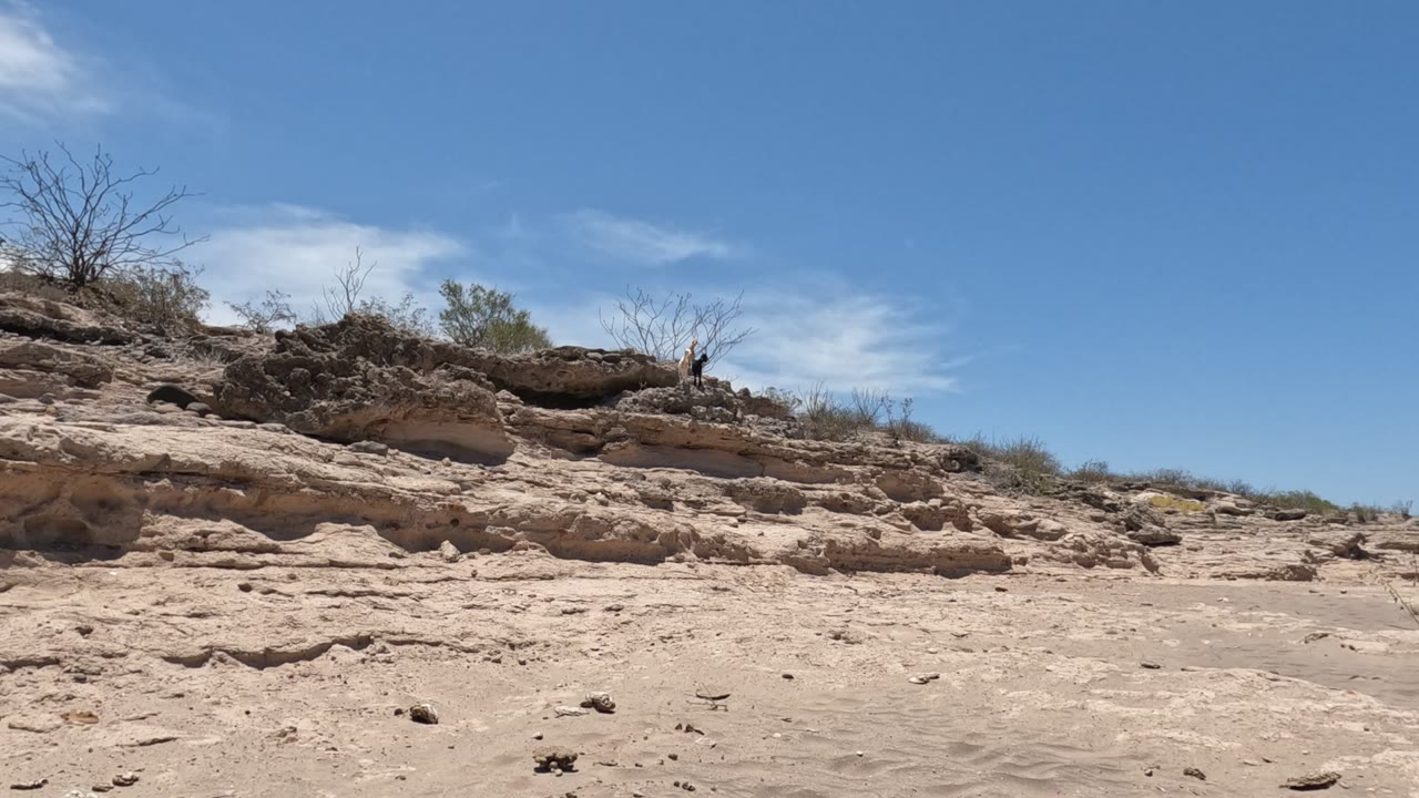 Baja California desert wash with pale sand in the foreground, layered tan rock across the middle, sparse ridge vegetation, blue sky, and no visible people.