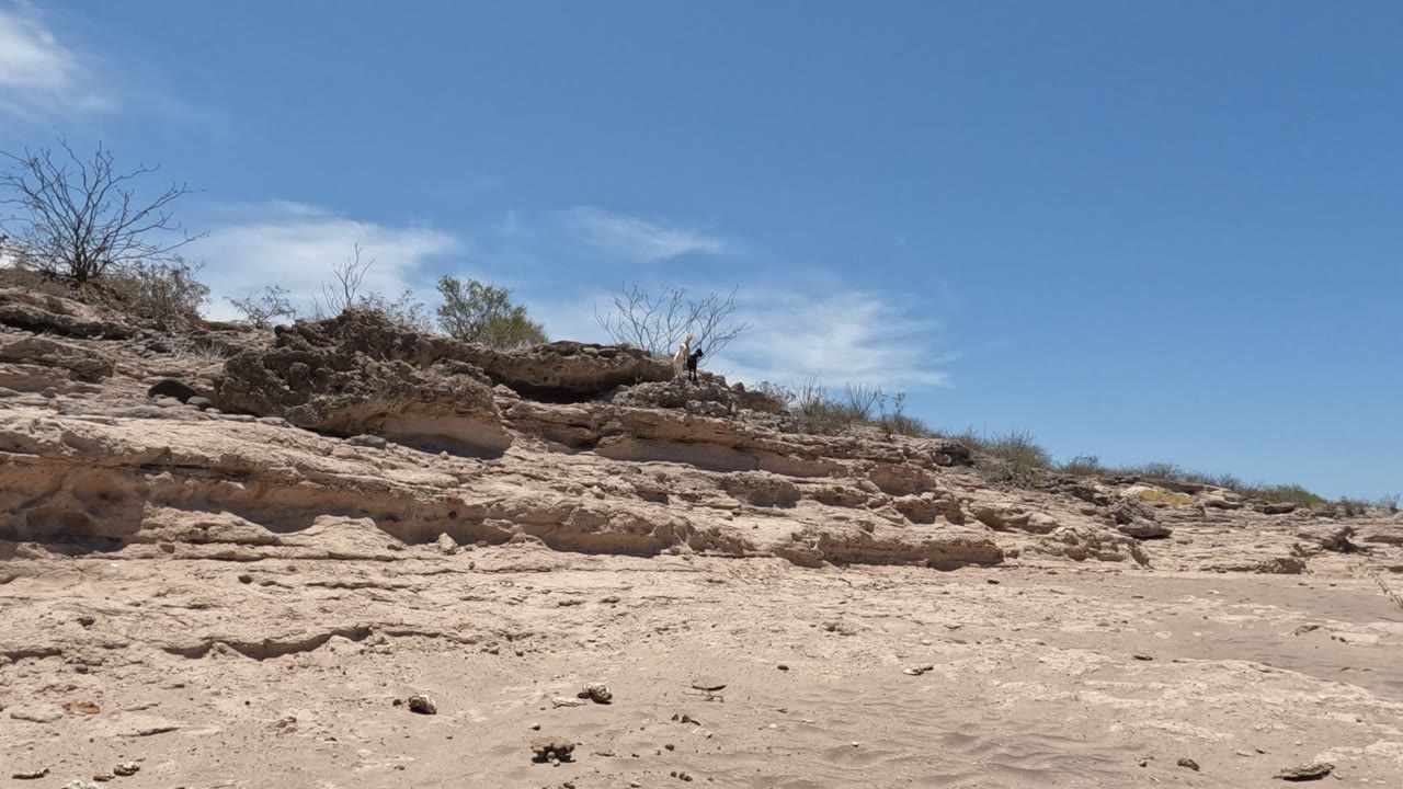 Low desert scene with rock shelf, scrub, and open blue sky.