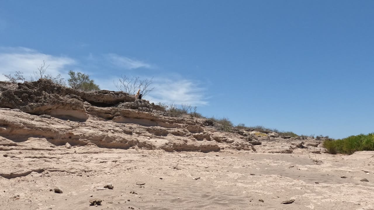 Low sandy and rocky desert ground in Baja California, Mexico, with eroded ledges, scattered brush, a clear blue sky, and no visible people.