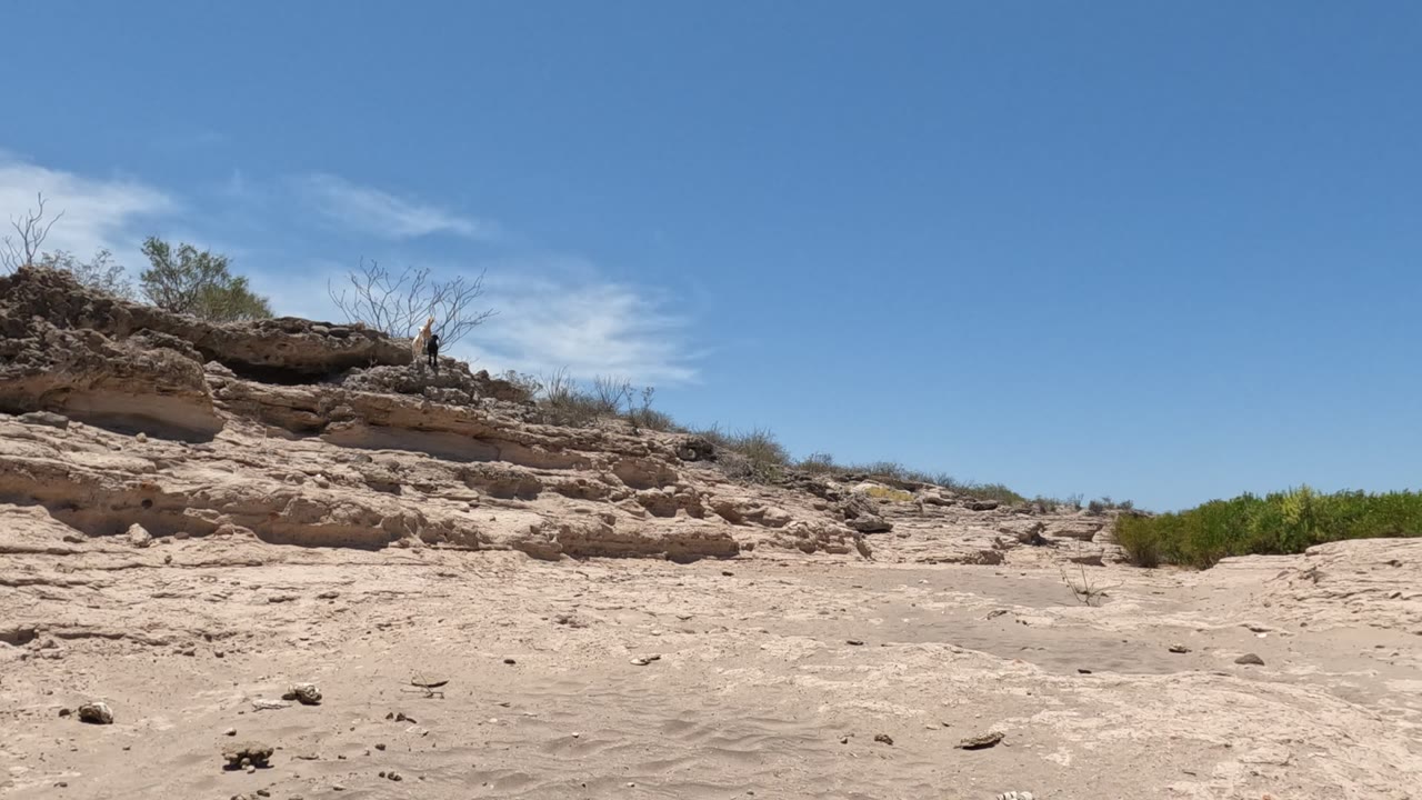 Rock ledge and dry shrubs above pale sandy desert terrain.