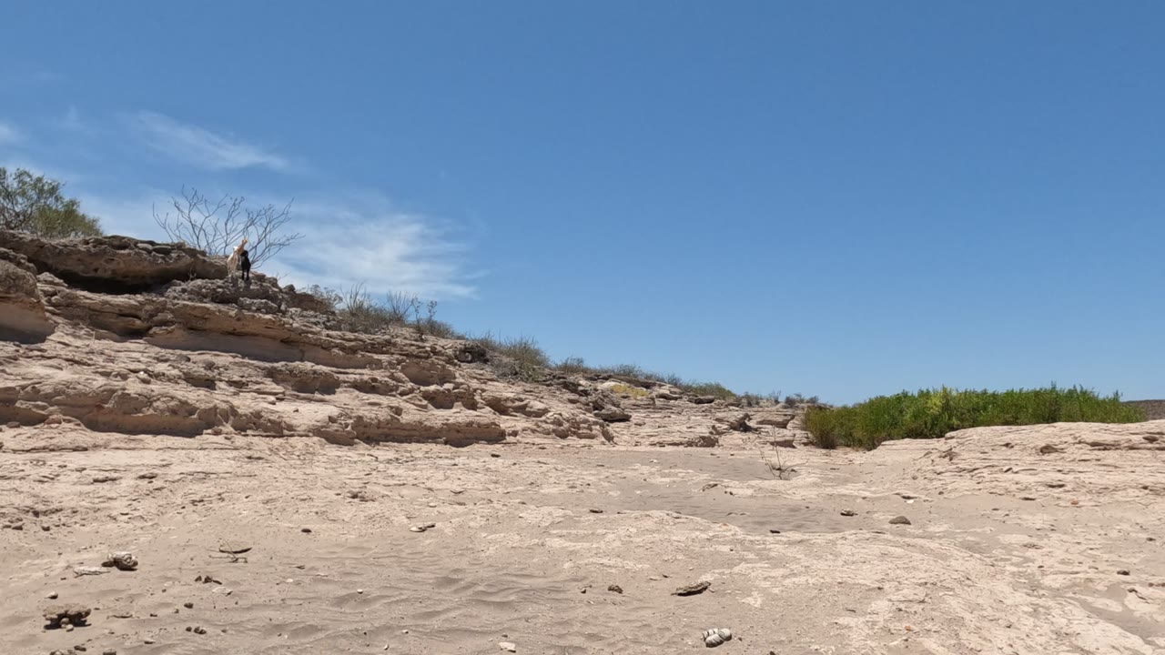 The Baja California landscape shows rough sand and stones leading to layered rock, dry brush on the ridge, green shrubs to the right, and no visible people.