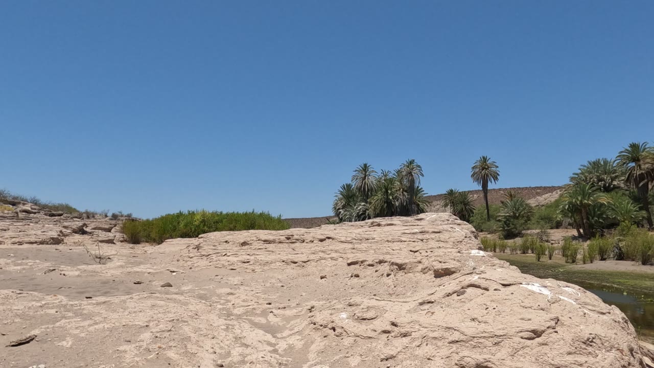 Opening frame of a Baja California, Mexico desert river scene with pale rock in the foreground, palms across the bank, blue sky, and no visible people.