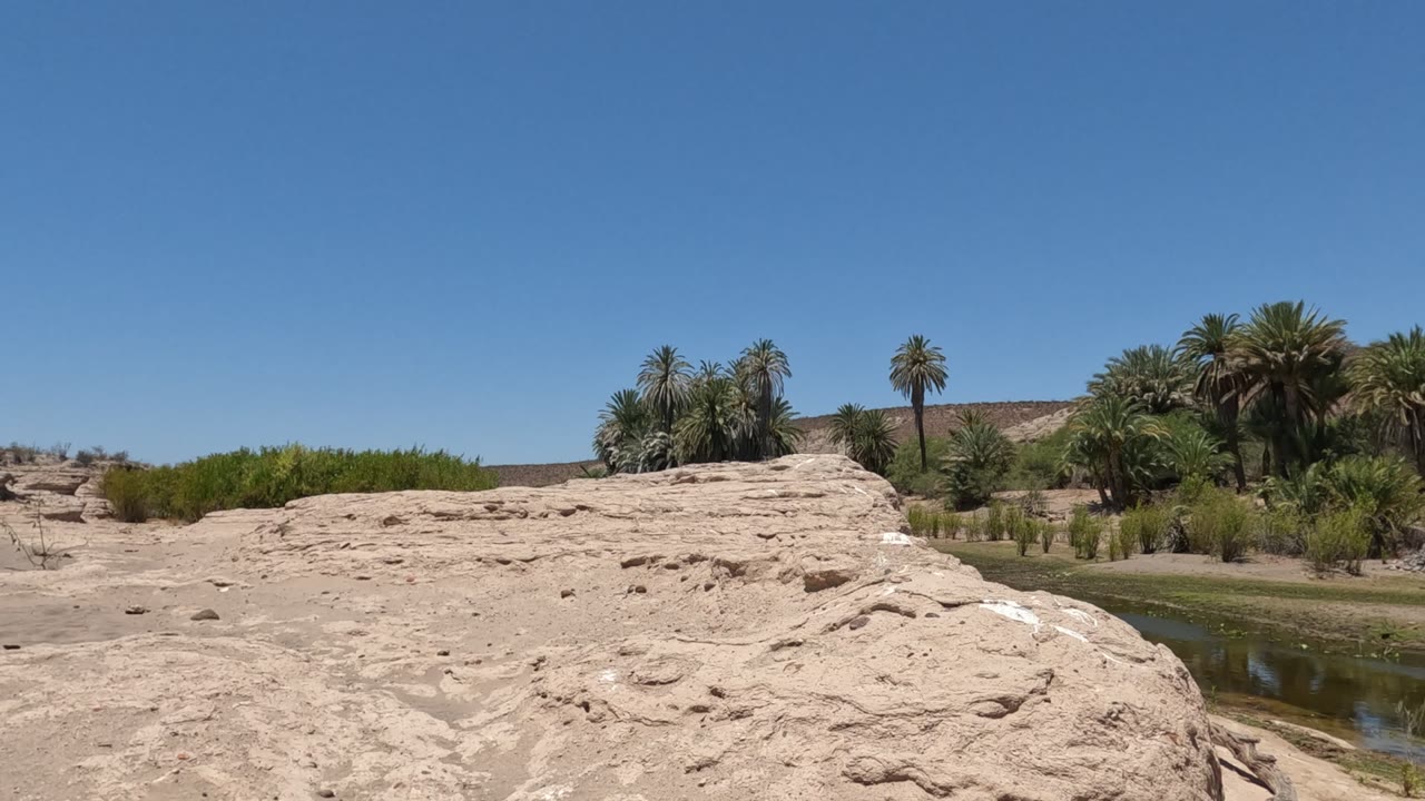 A Baja California, Mexico river channel runs along pale foreground rock while palm clusters and green vegetation fill the far bank with no visible people.