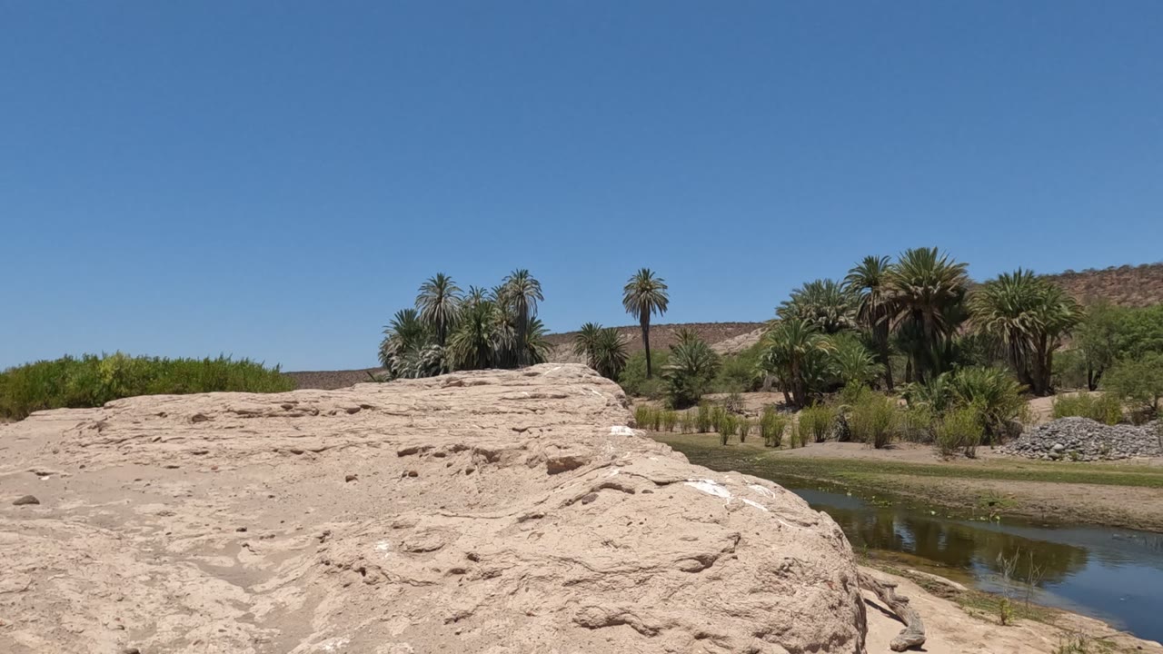 The frame holds a dry rock shelf in front of a reflective river, with palms, shrubs, low hills, and clear blue sky in Baja California, Mexico, with no visible people.