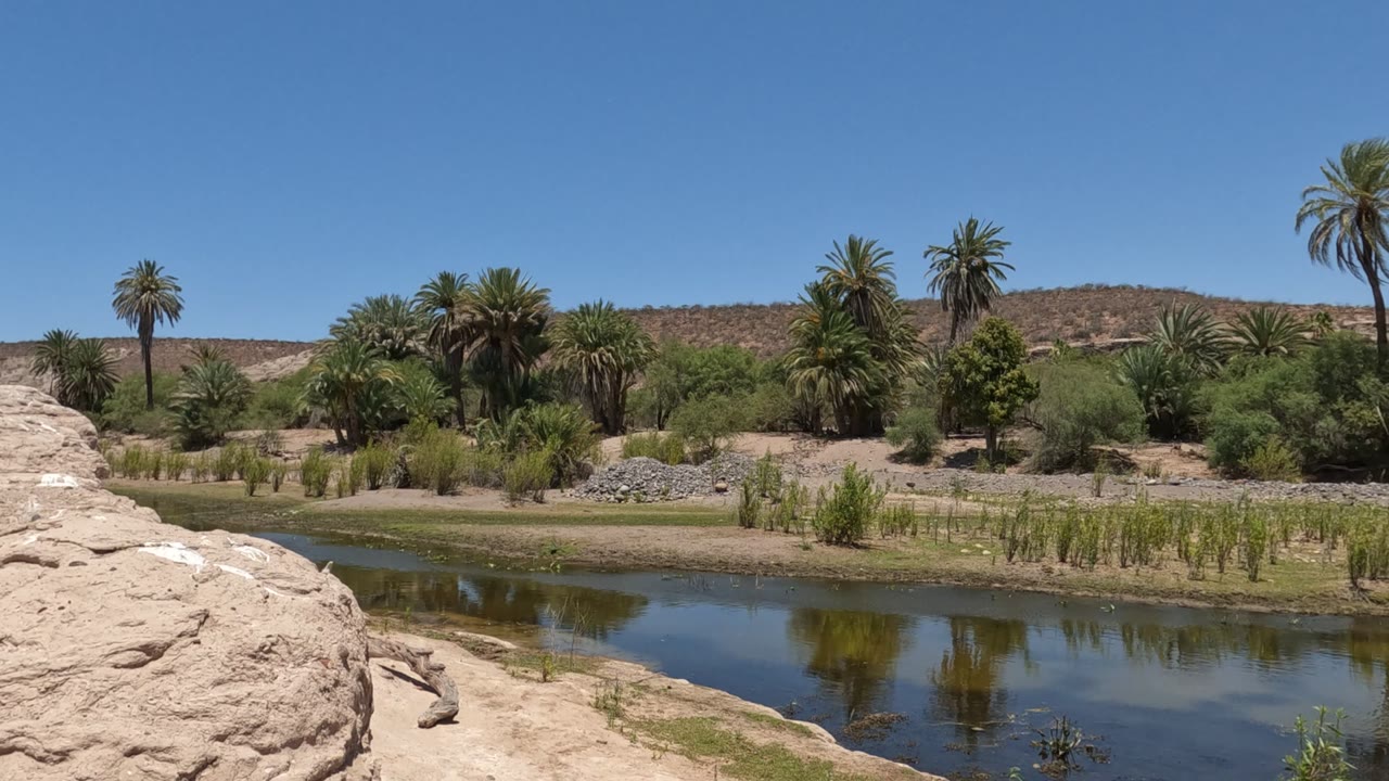 Baja California, Mexico landscape with a large pale rock at left, calm reflective water, palm trees, dry hills, blue sky, and no visible people.
