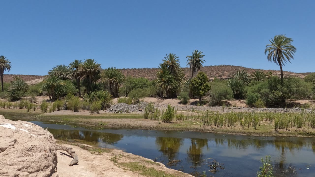 Reflective water with palms and dry hills beyond.