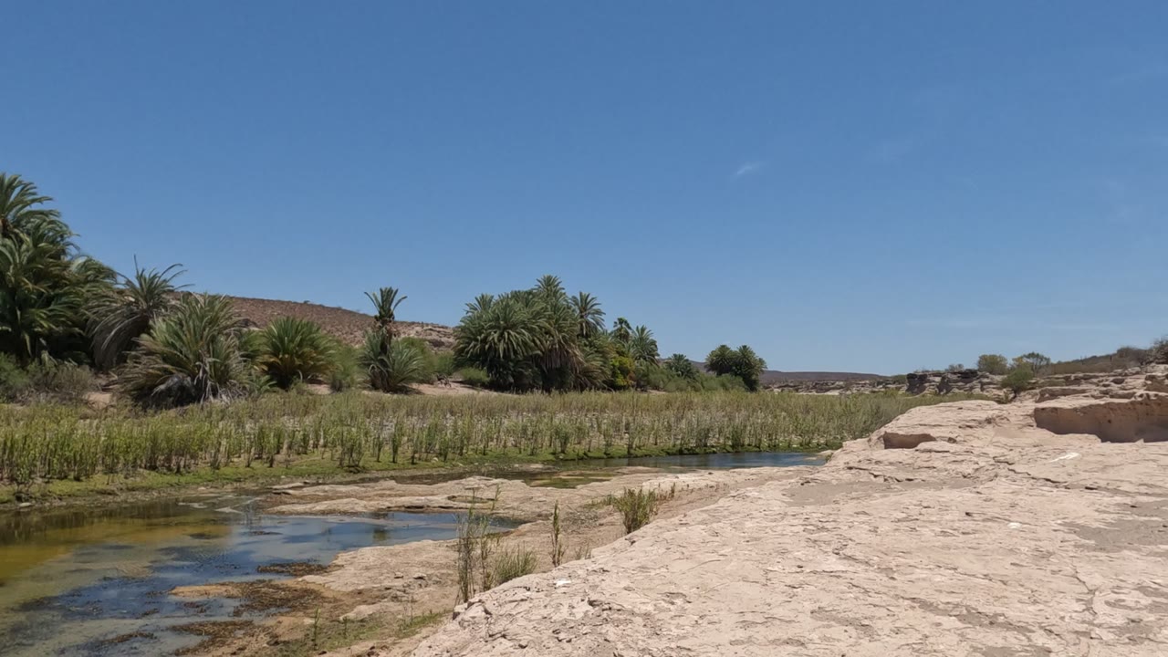 Baja California riverbank two seconds in, with the sandy rock ledge occupying more of the right foreground, reeds and shallow water through the middle, palms to the left, and no visible people.