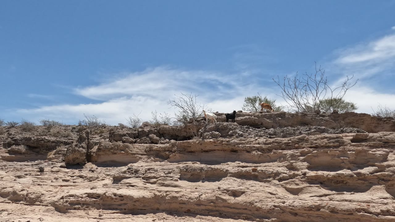 Layered rocky ridge with a distant walker and dog below thin clouds.
