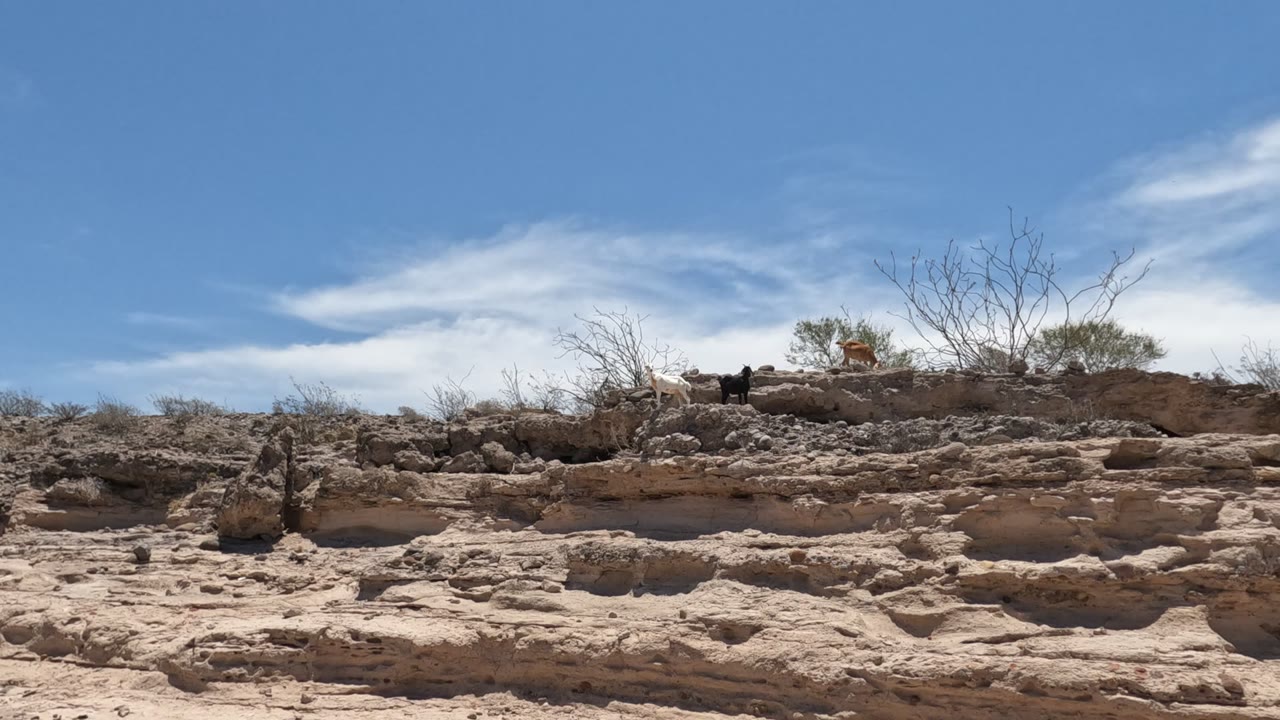 Baja California ridge view at 0:02, with the person in dark clothing and a light-colored dog visible near the skyline above rough tan rock and scattered shrubs.
