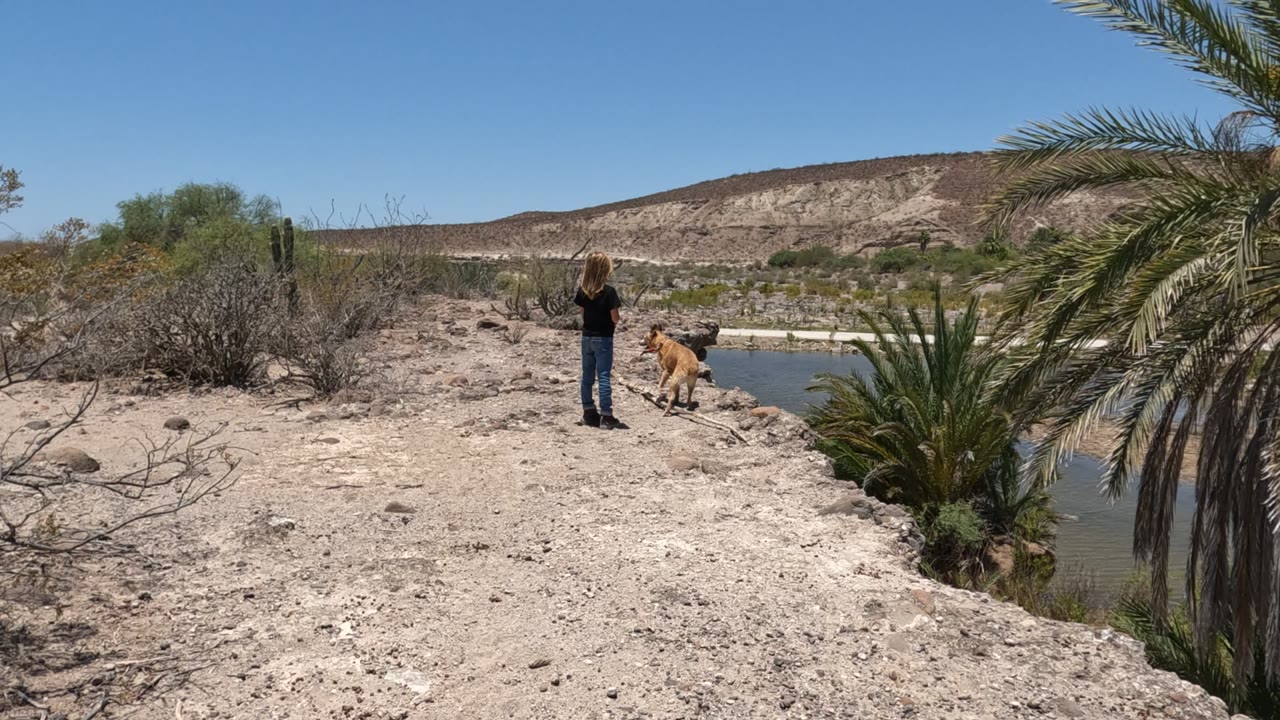 A person in dark clothing faces a tan dog near the edge of a Baja California, Mexico waterhole, with scrub plants, palms, and pale hills across the frame.