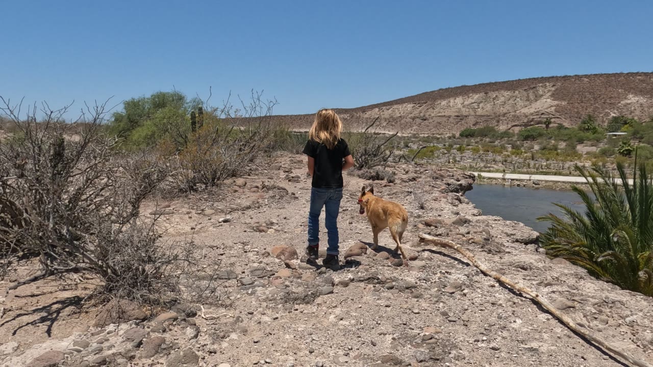 In Baja California, Mexico, a blonde girl in a black shirt walks a light brown dog on a leash along a rocky path with dry shrubs, water, low hills, and blue sky behind them.