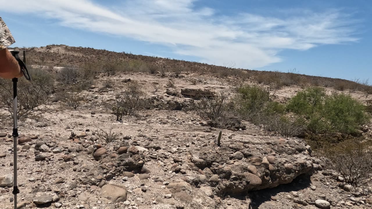 Baja California desert wash with scattered stones, sparse scrub, a low hillside, blue sky, and a partial hand holding a trekking pole at the left edge.