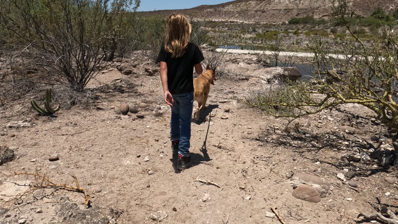 A person in a black shirt and jeans walks away from camera with a tan dog on a leash on a rocky Baja California desert trail, with scrub, cactus, water, and pale hills beyond.