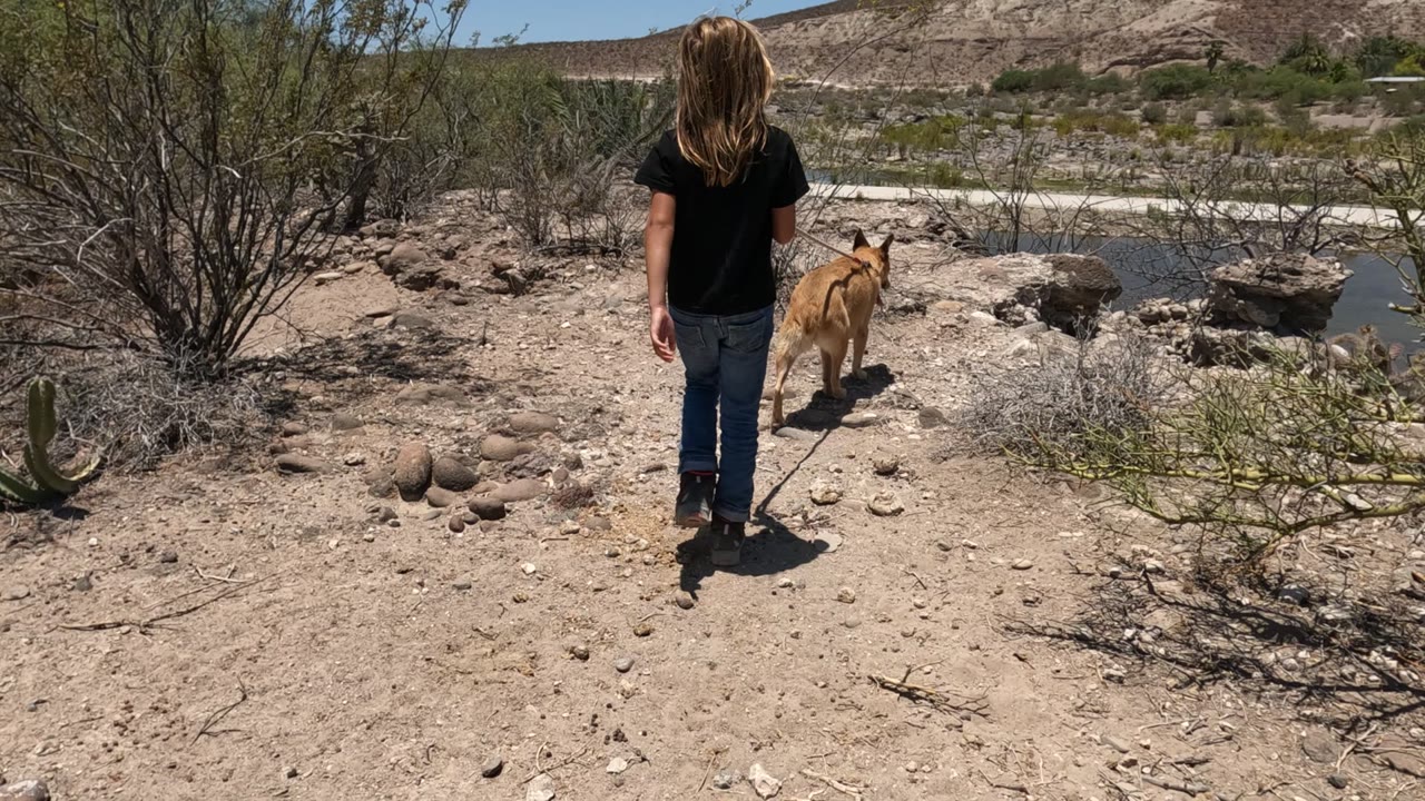 Person and leashed dog walking past desert brush toward water.