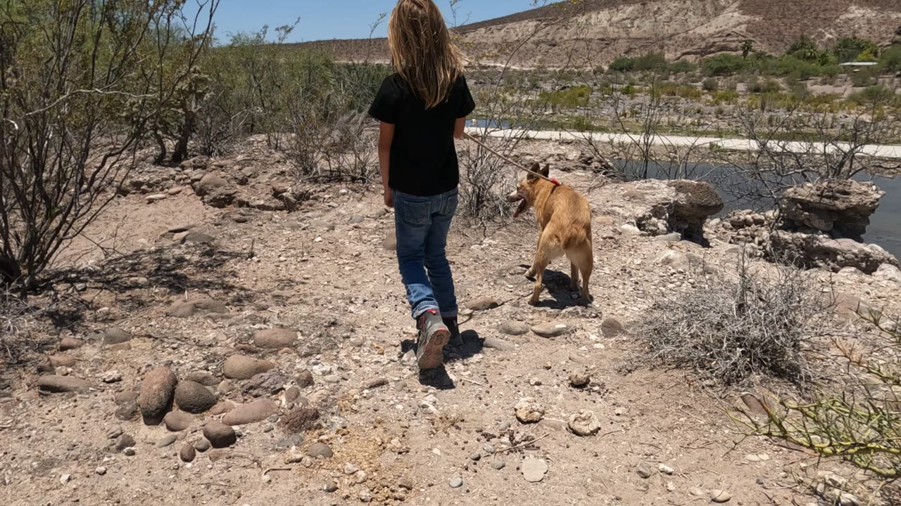 A rear view shows the person and leashed tan dog farther along the Baja California desert path, with a cactus near the trail and a strip of water behind sparse green shrubs.