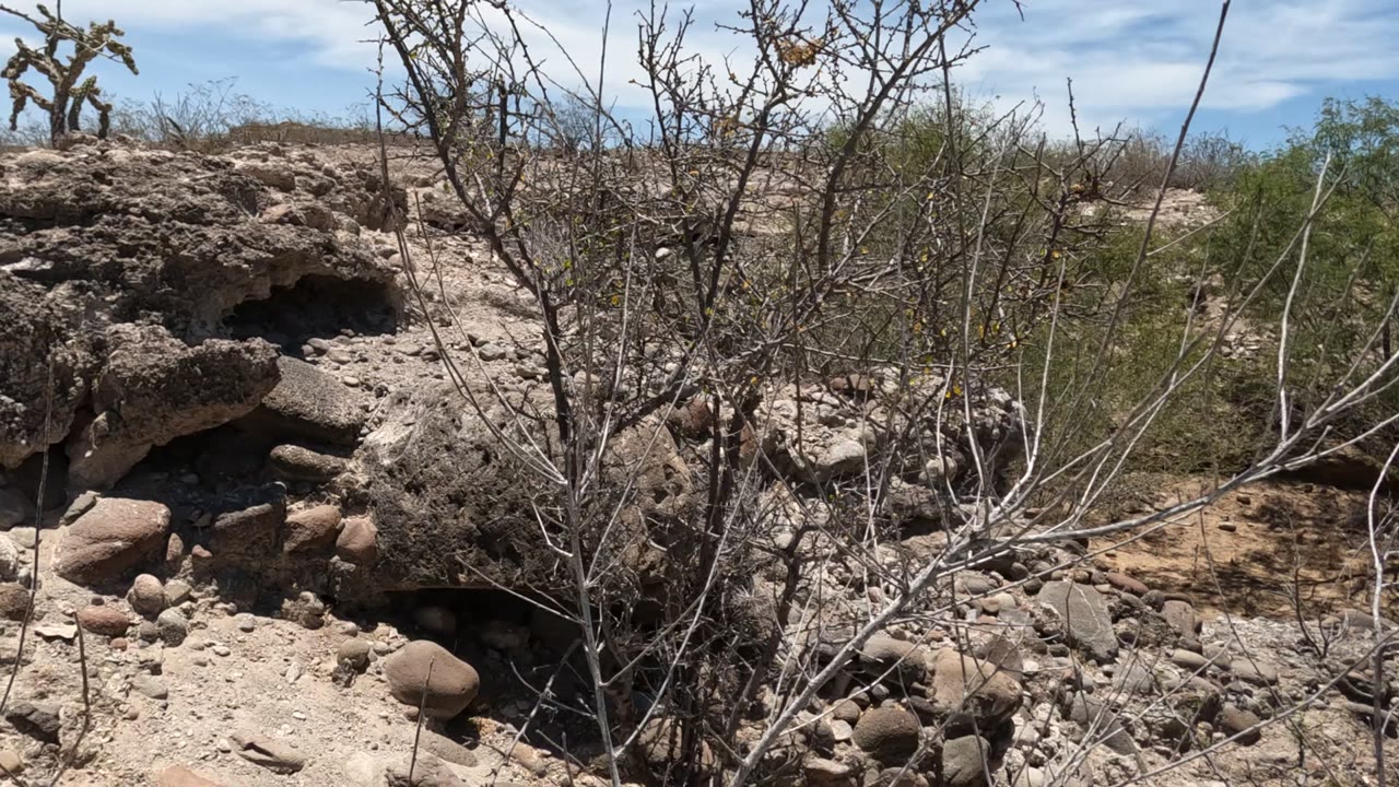 Pitted rock ledge and dry desert brush