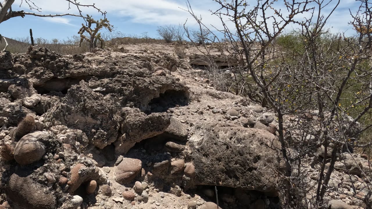 Baja California, Mexico rocky desert mound viewed past thorny foreground branches, with shrubs, gravel, open sky, and no visible people.