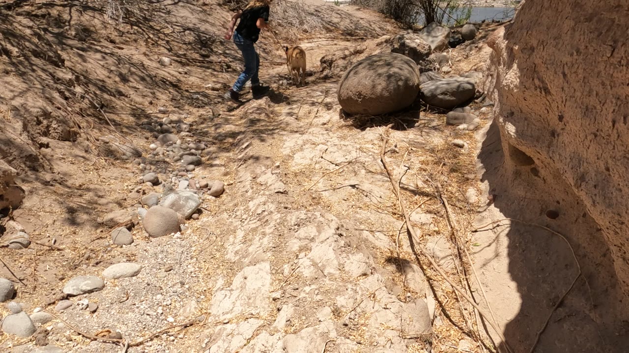 A woman and tan dog walk along a sandy, rocky dry riverbed path in Mulege, Baja California Mexico, with large rounded boulders and tree shadows in bright sun.