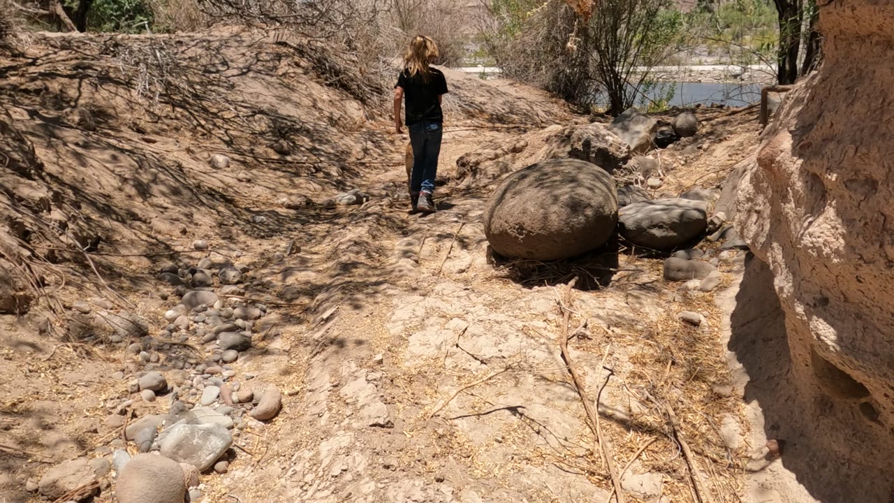 Woman walking away on dry path with dog nearby.