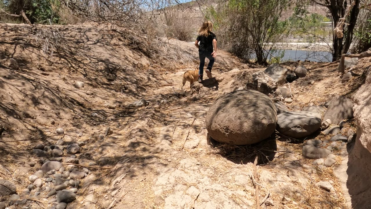 A woman and tan dog move across a shaded sandy bank in Mulege, Baja California Mexico, passing large rounded rocks with dry brush, tree trunks, water, and low hills behind them.