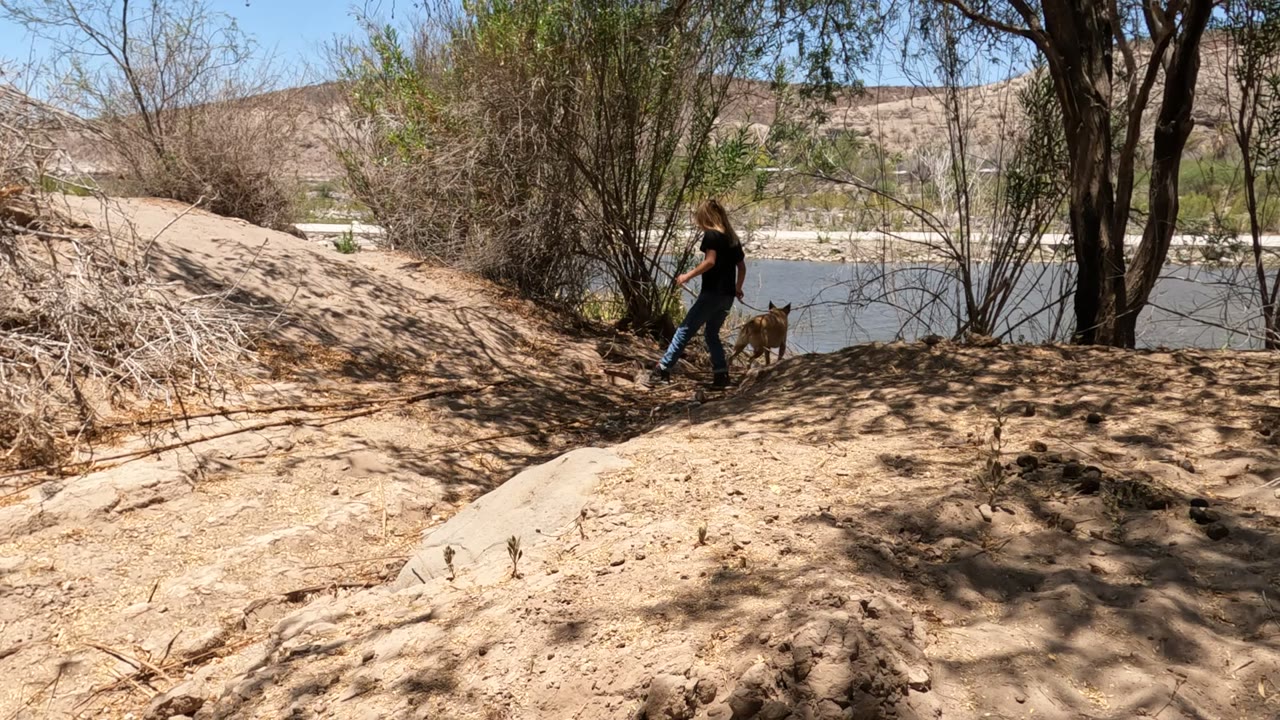 A person walks a brown dog to the right along the Baja California Mexico riverbank, passing under sparse trees with water and dry hills in the background.
