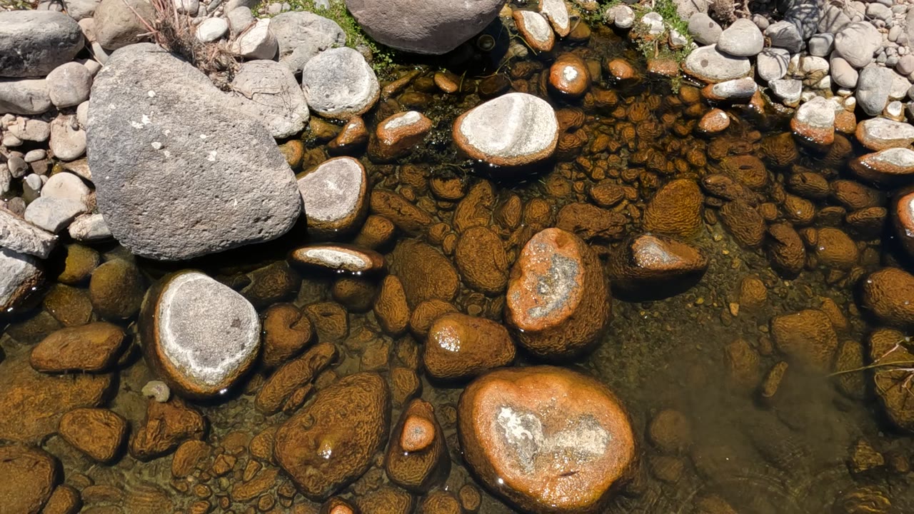 Clear stream water and sunlit stones beneath the surface.