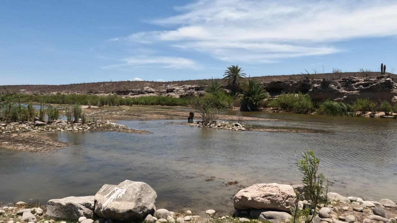 Shallow river and rocky bank with reeds, palms, dry hills, and a distant person near the waterline.