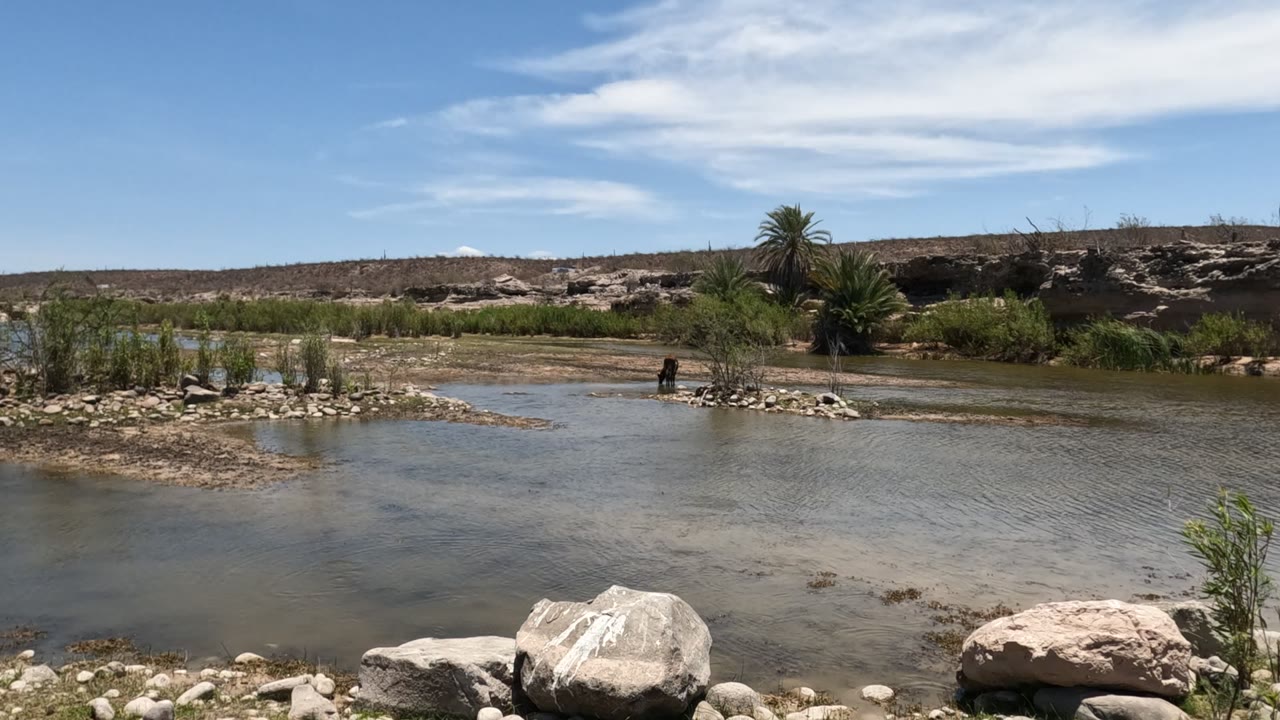 The Baja California river remains shallow and calm, with a large pale rock in the foreground, a distant wading person near the opposite bank, green plants, low dry terrain, and a bright sky.