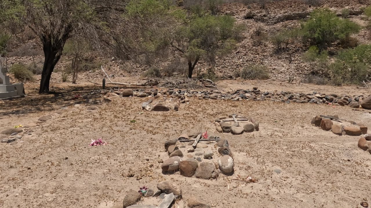 Baja California, Mexico desert ground with low stone arrangements, sticks, small flowers, sparse trees, a rocky hillside, and no visible people.