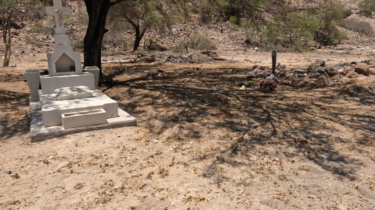 White grave marker and flower-covered grave under desert trees