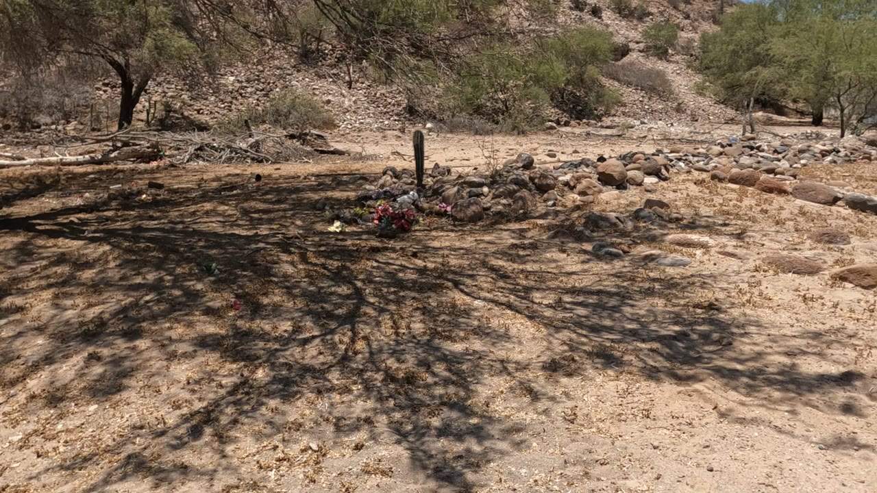 A low stone grave with colorful flowers sits under dark tree shadows in a Baja California desert cemetery, with sandy ground, rocks, dry brush, and no visible people.