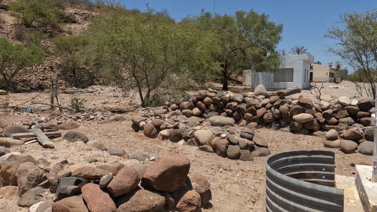 Dry rocky garden area with stone piles, trees, and white house behind.