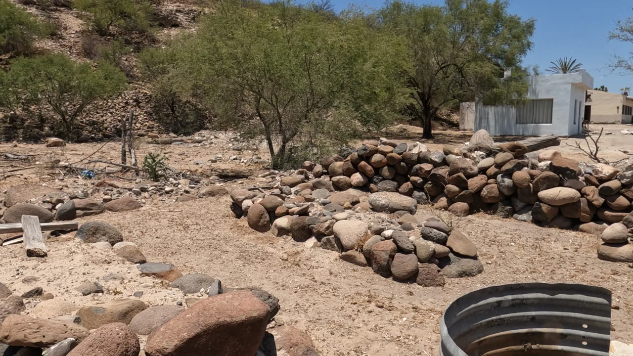 Baja California, Mexico yard scene with a stacked rock wall across the midground, trees casting light shade, a white house set back, the edge of a metal ring, and no visible people.