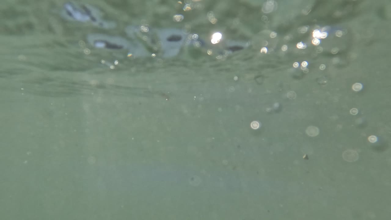 Underwater Baja California water view with soft green-blue color, suspended bubbles, and bright surface ripples, with no visible people.