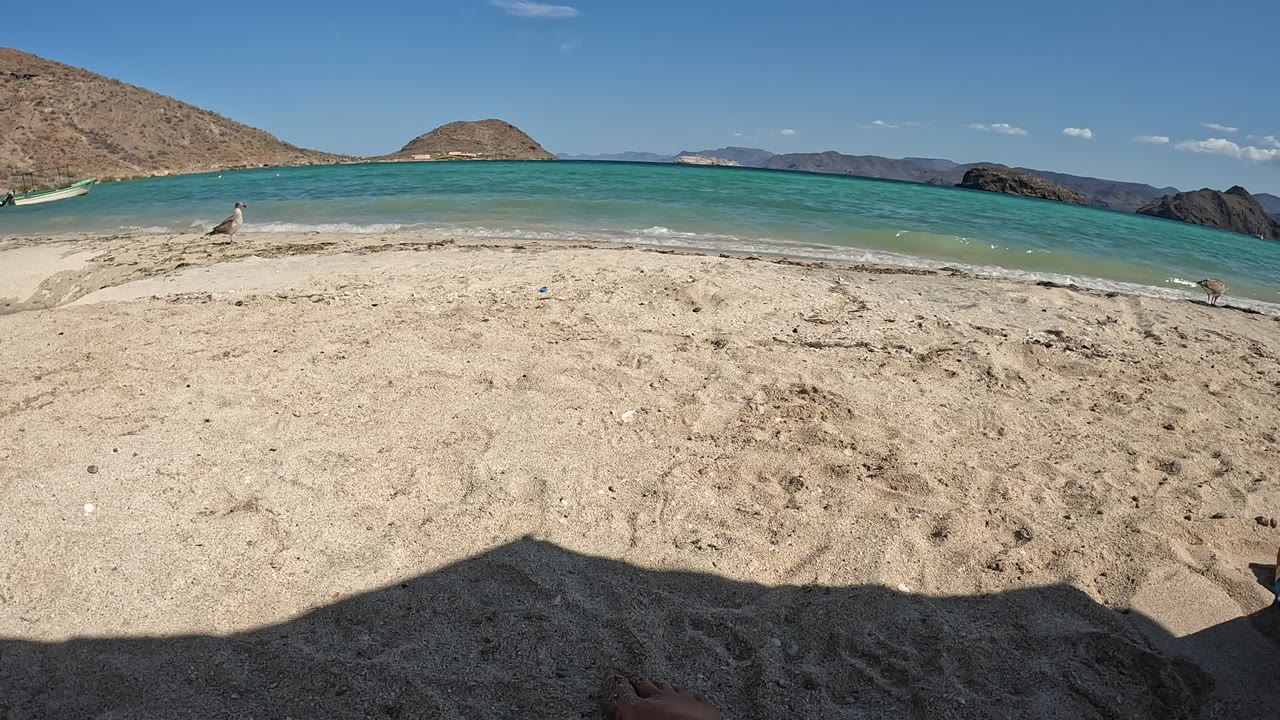A Baja California, Mexico beach frame shows pale sand, a seagull near the surf, turquoise water, rocky shoreline, dry hills, blue sky, and no visible people.