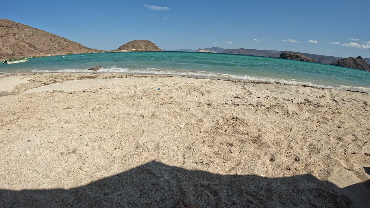 Turquoise waves roll onto a sandy beach below dry hills and clear sky.