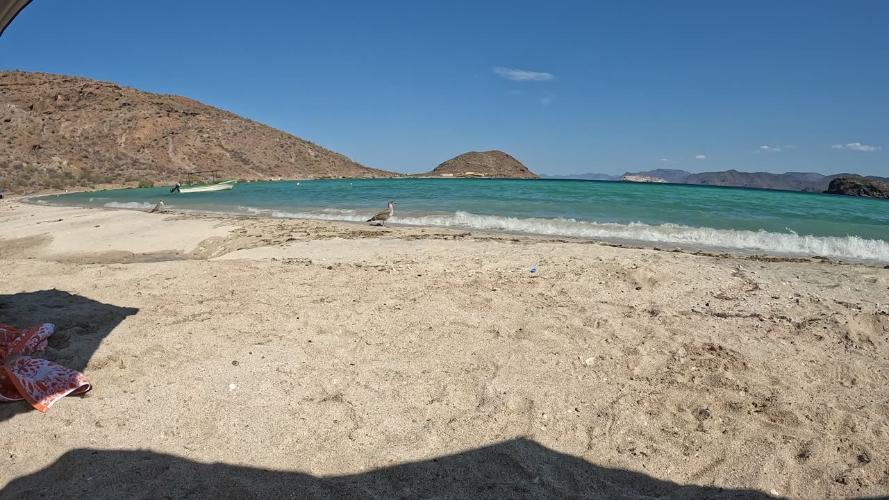 Opening frame of a Baja California, Mexico beach with a shaded sandy foreground, a seagull near the surf, turquoise water, rocky hills, blue sky, and no visible people.